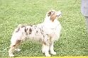 Champion male